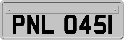 PNL0451