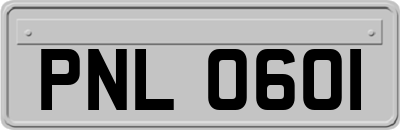 PNL0601