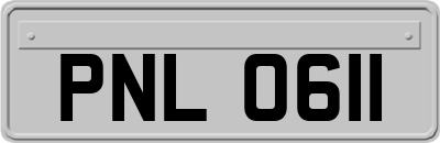 PNL0611
