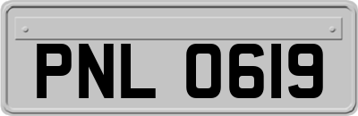 PNL0619