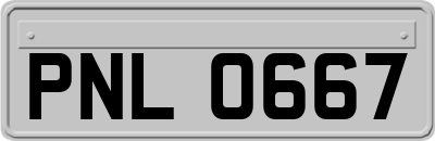 PNL0667