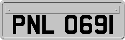 PNL0691