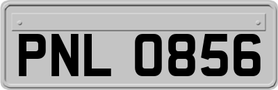 PNL0856