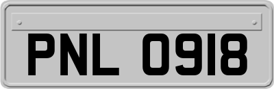 PNL0918