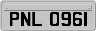 PNL0961