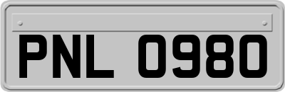 PNL0980