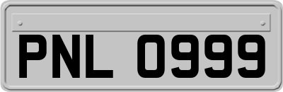 PNL0999