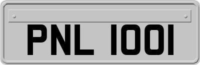 PNL1001