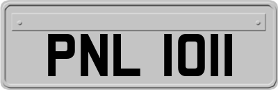 PNL1011