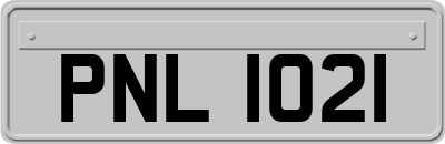 PNL1021