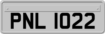 PNL1022