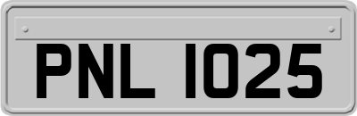 PNL1025