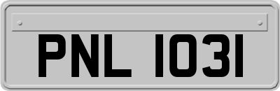 PNL1031