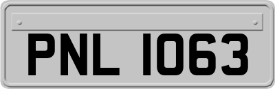 PNL1063