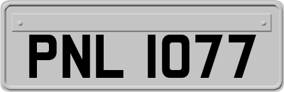 PNL1077