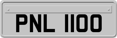 PNL1100