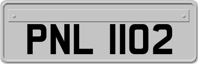 PNL1102