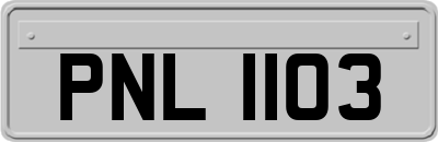 PNL1103