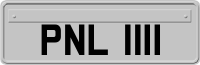 PNL1111