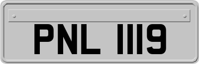 PNL1119