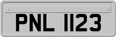 PNL1123