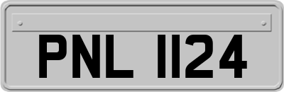 PNL1124