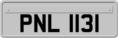 PNL1131