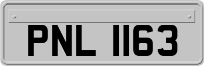 PNL1163