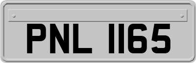 PNL1165