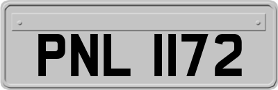 PNL1172