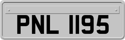 PNL1195