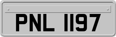 PNL1197