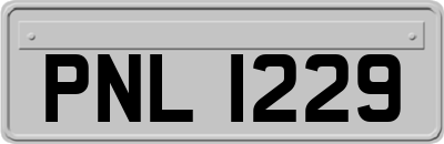 PNL1229