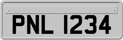 PNL1234