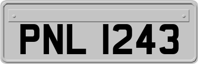 PNL1243