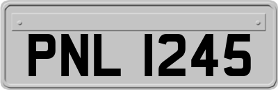 PNL1245