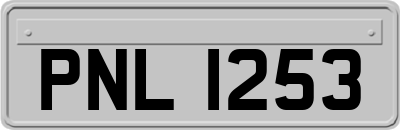 PNL1253