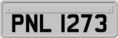 PNL1273