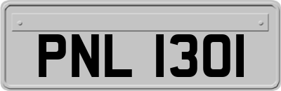 PNL1301