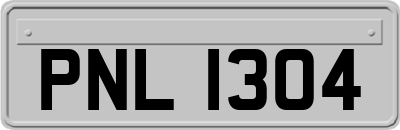 PNL1304