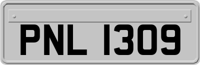 PNL1309