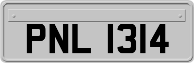 PNL1314