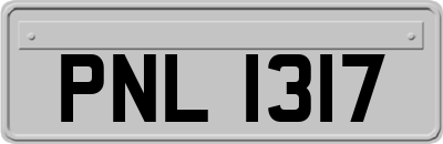 PNL1317