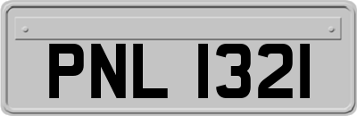 PNL1321