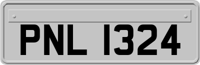 PNL1324