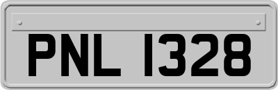 PNL1328