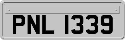 PNL1339