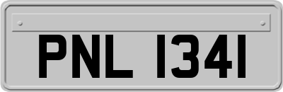 PNL1341