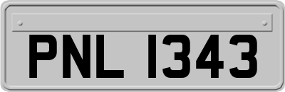 PNL1343
