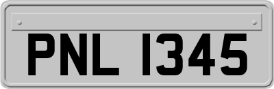 PNL1345